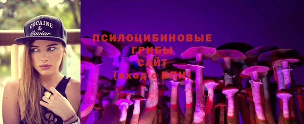 гидра Баксан