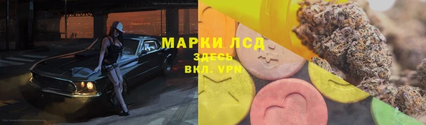 гидра Баксан