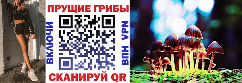 Галлюциногенные грибы Cubensis  Балашов 